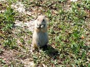 Badlands Nationsl Park