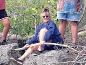 Beaver Creek (MO), Bull Shoals Lake