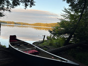 Sylania National Forest