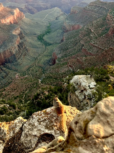 Grand Canyon National Park
