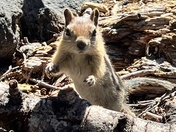 Crater Lake National Park