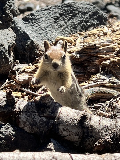 Crater Lake National Park