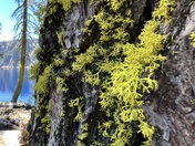 Crater Lake National Park