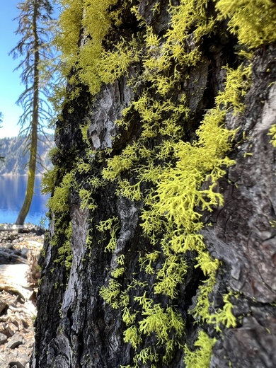Crater Lake National Park