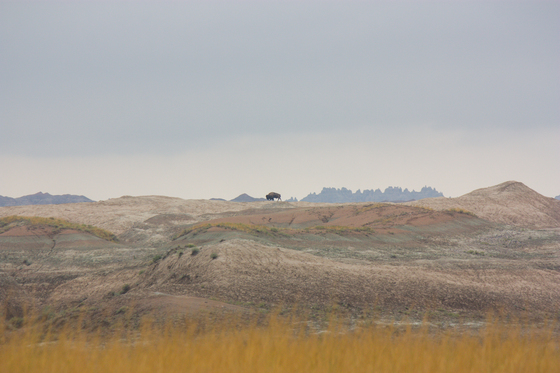 Badlands National Park