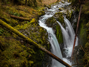 Olympic National Park