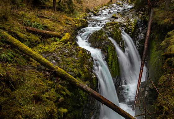 Olympic National Park