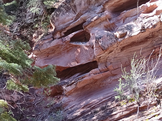 Zion National Park