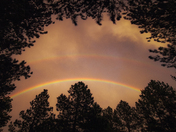 Black Hill National Forest