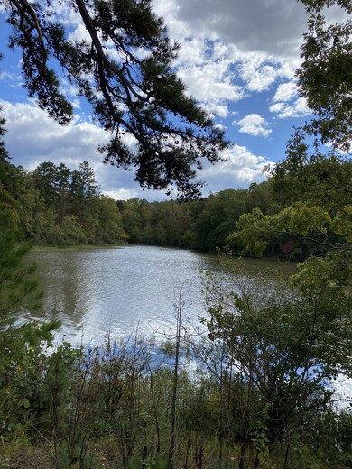 Uwharrie National Forest