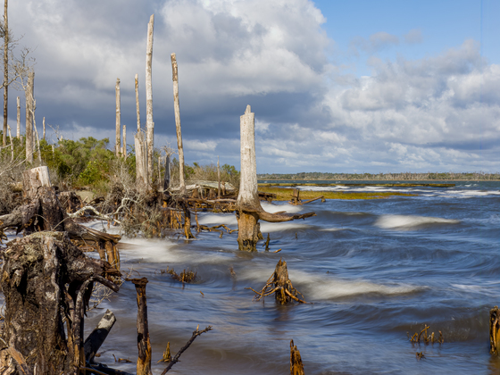 Cape Lookout National Seashore