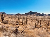 Superstition Wilderness Area
