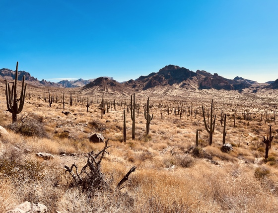 Superstition Wilderness Area