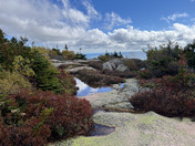 Acadia National Park