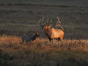 Rocky Mountain National Park