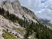 King Canyon National Park
