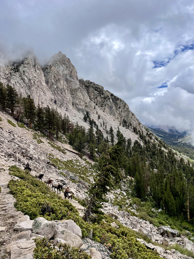 King Canyon National Park