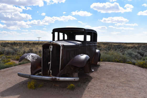 Petrified Forest National Park