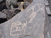 Petroglyph National Monument