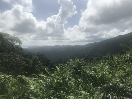 El Yunque National Forest