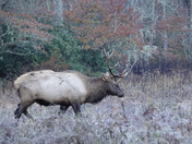 Great Smoky Mountain National Park