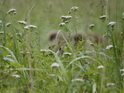 Lake Clark National Park