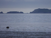 Lake Clark National Park