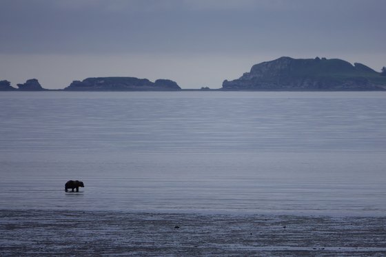 Lake Clark National Park
