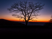 Shenandoah National Park