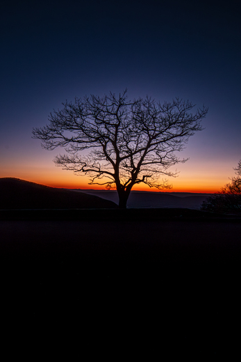 Shenandoah National Park