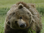 Lake Clark National Park