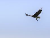 Lake Clark National Park