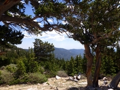 Mt Blue Sky recreation area and scenic byway Arapaho and Roosevelt Nat. Forest 