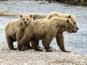 Katmai National Park
