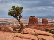 Arches National Park