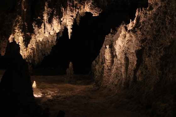 Carlsbad Caverns National Park
