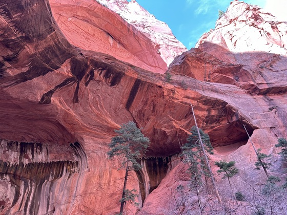 Zion National Park