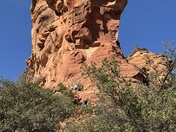 Coconino National Forest