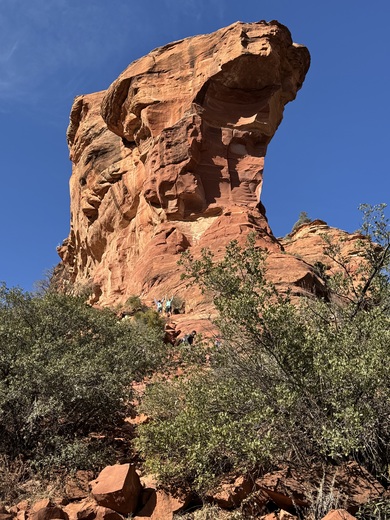 Coconino National Forest