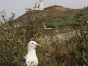 Channel Islands National Park