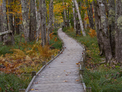 Acadia National Park