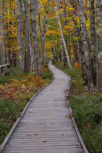 Acadia National Park