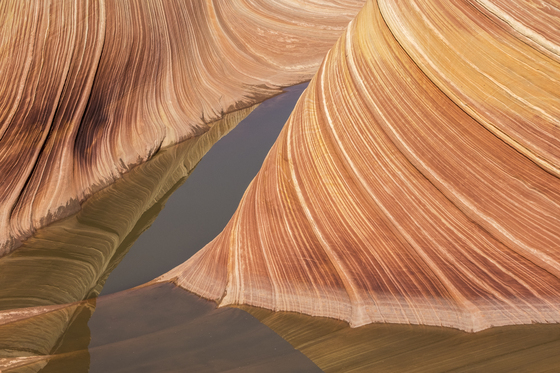 Coyote Buttes North (The Wave)