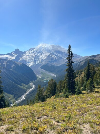Mount Rainier National Park