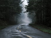 Redwoods National and State Parks