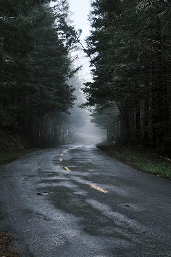 Redwoods National and State Parks