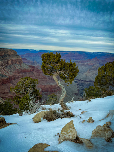 Grand Canyon National Park