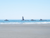 Olympic National Park