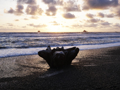 Olympic National Park