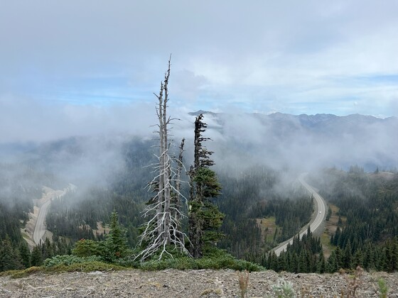 Olympic National Park